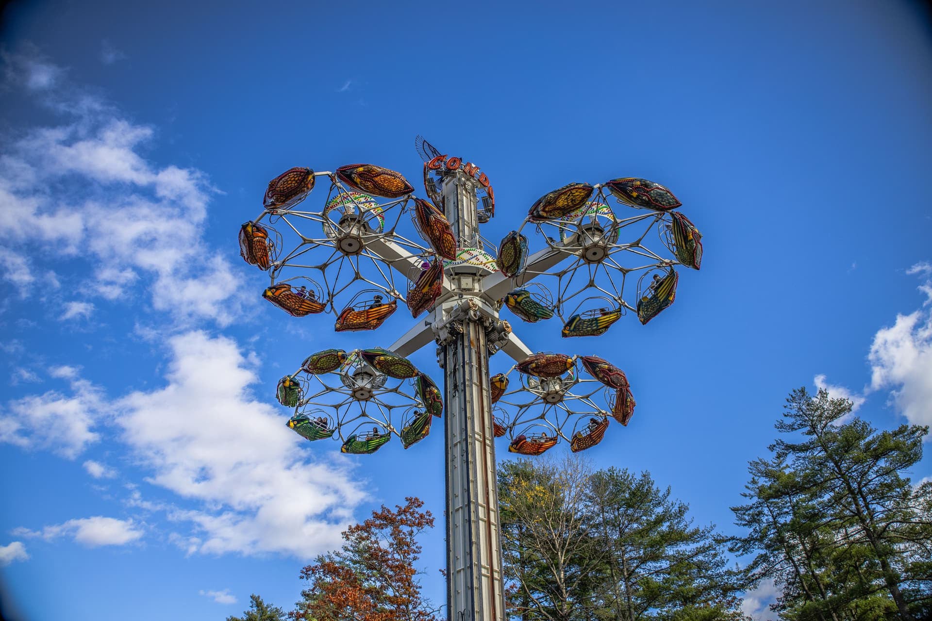 Six Flags Great Escape background image