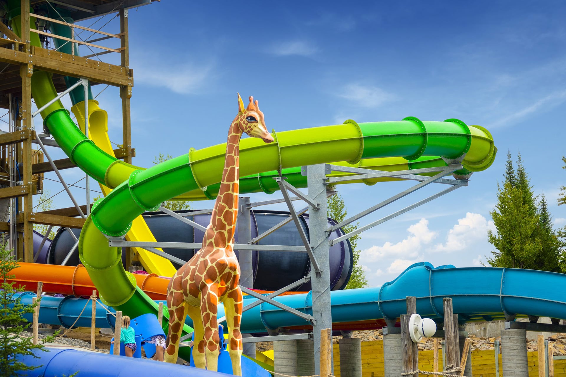 Enchanted Forest Water Safari background image