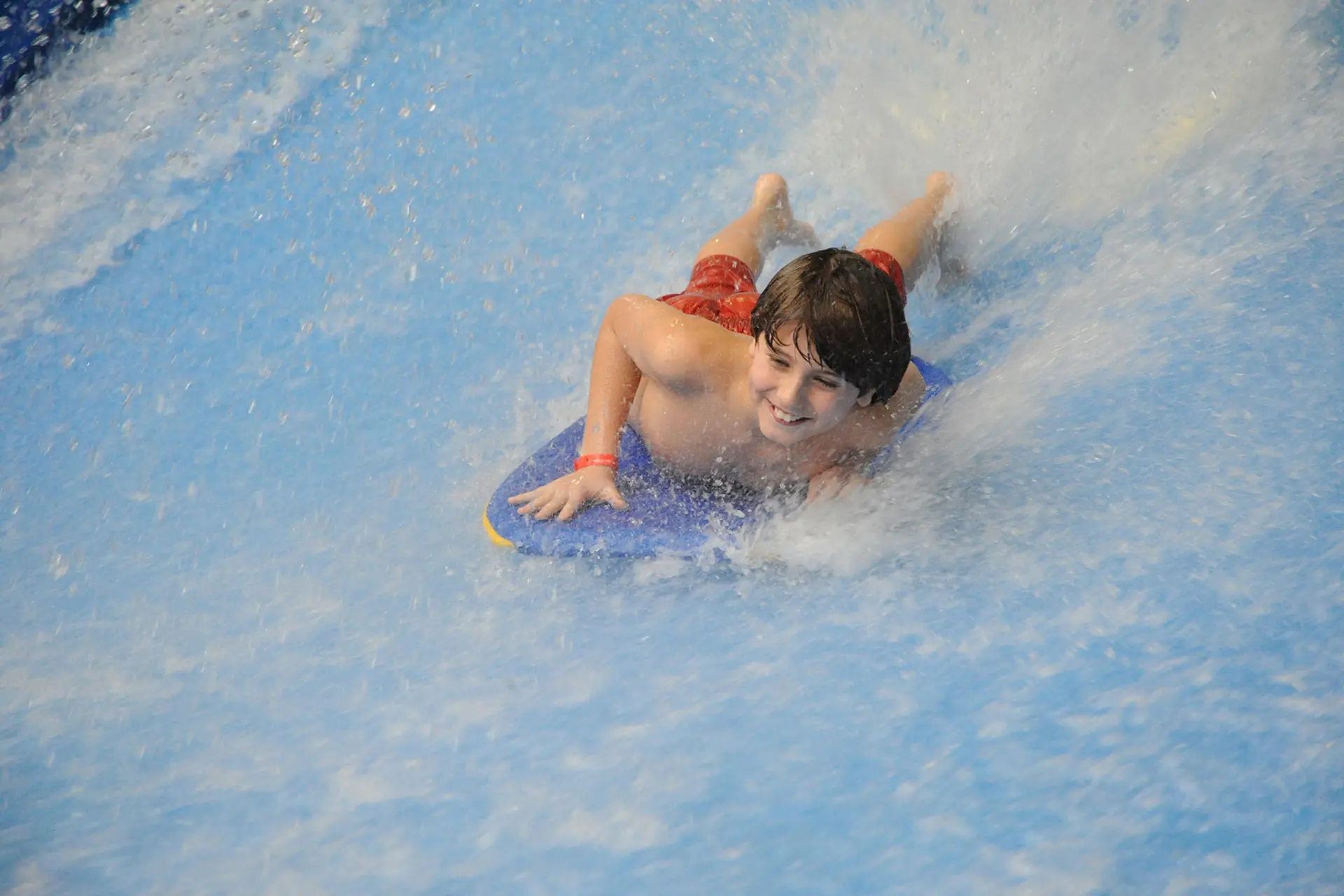 Boogie Bear Surf