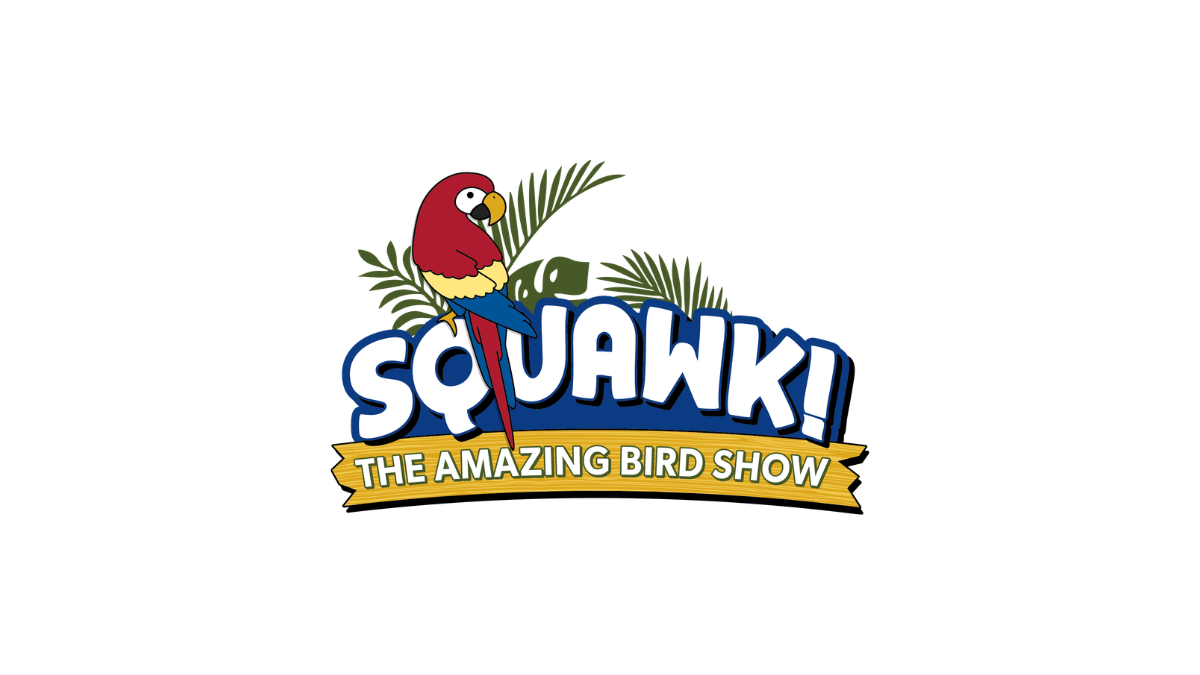 Squawk! The Amazing Bird Show background image