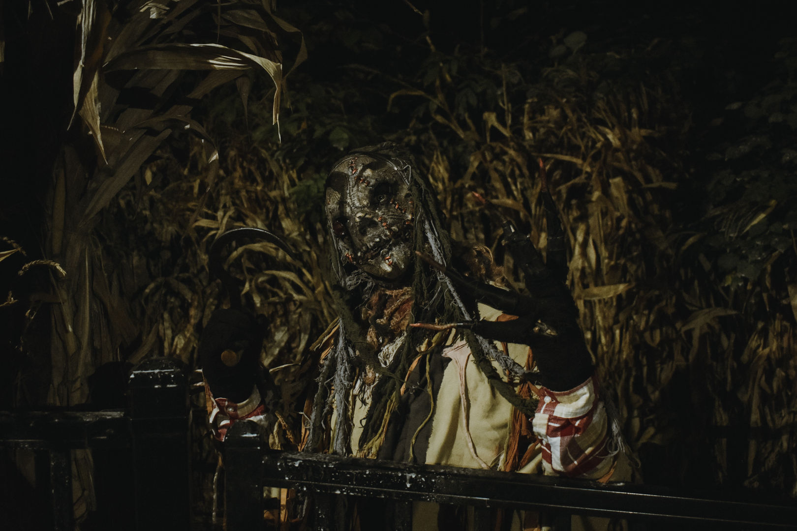 Halloween Haunt