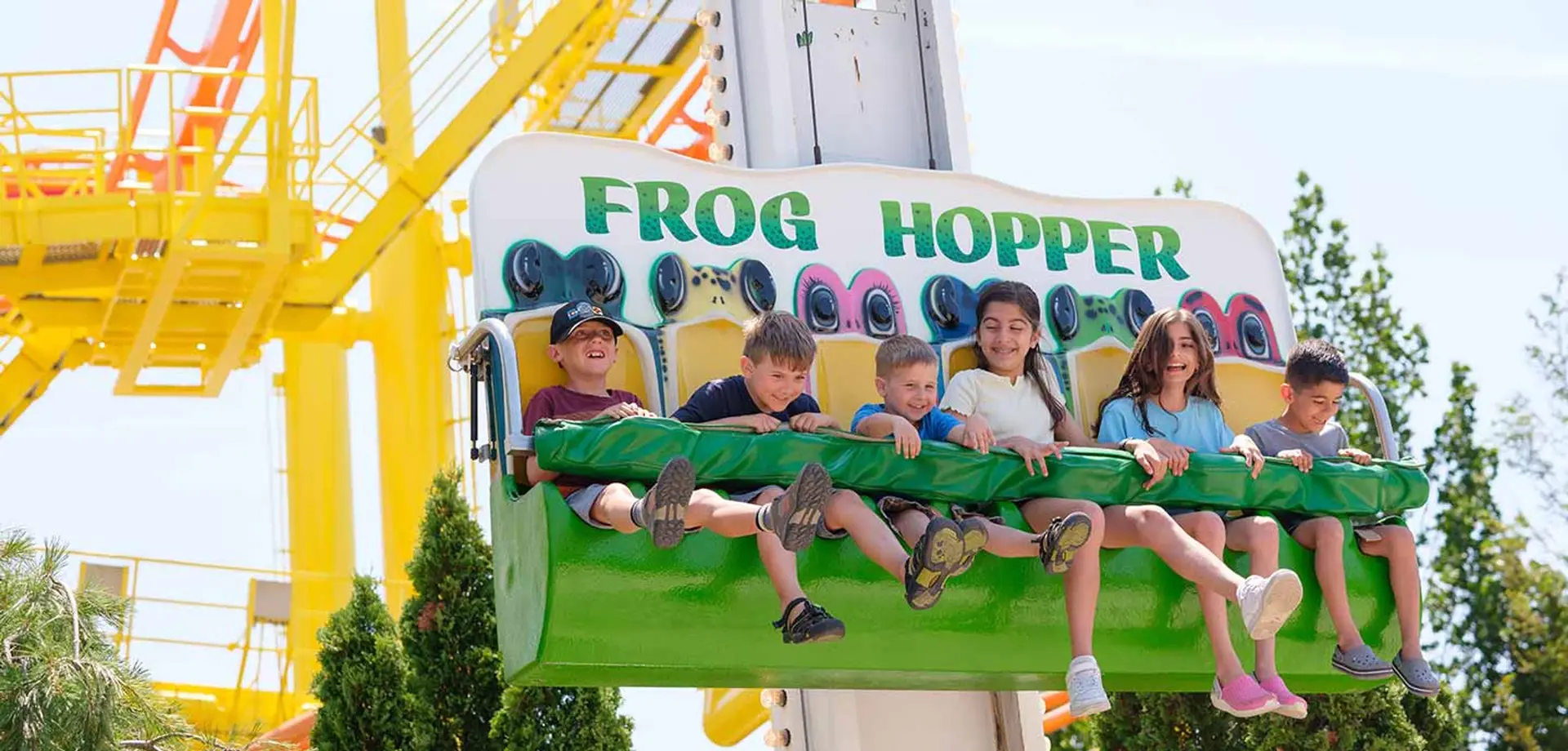 Frog Hopper