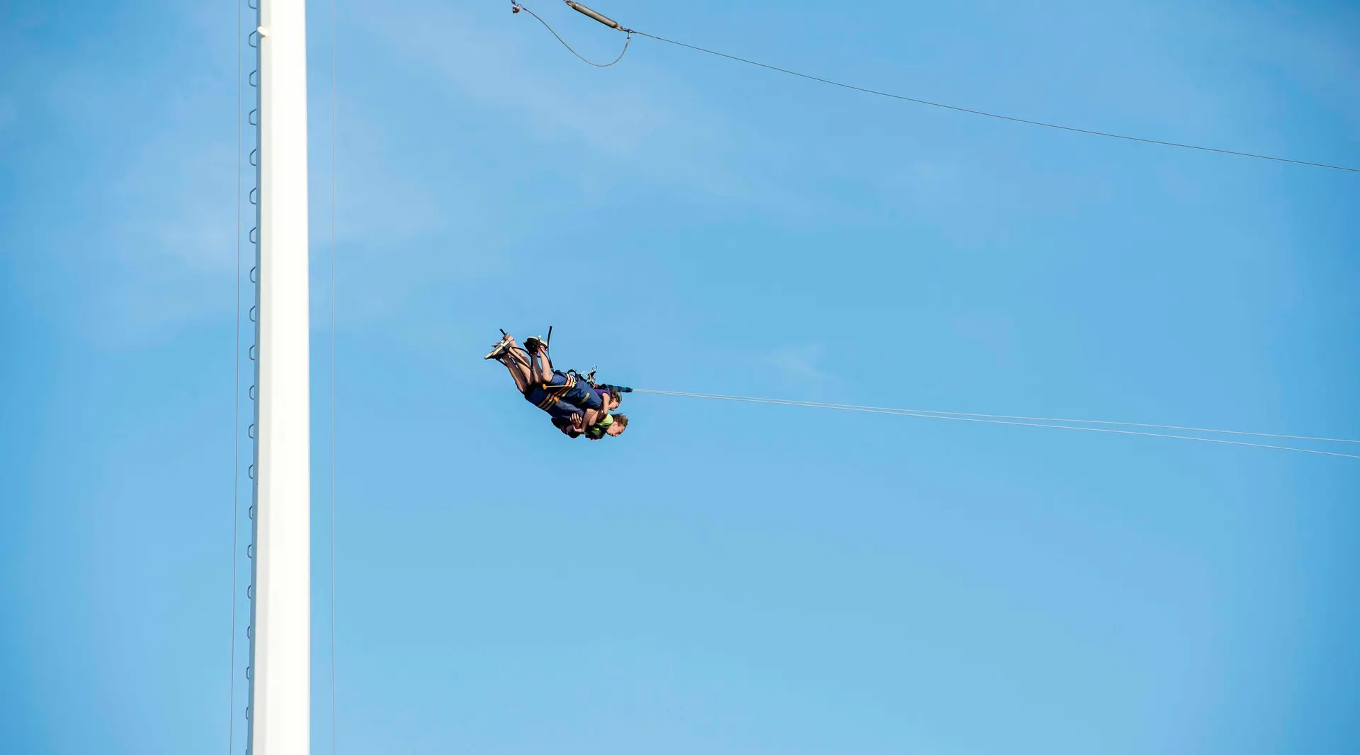 Ripcord