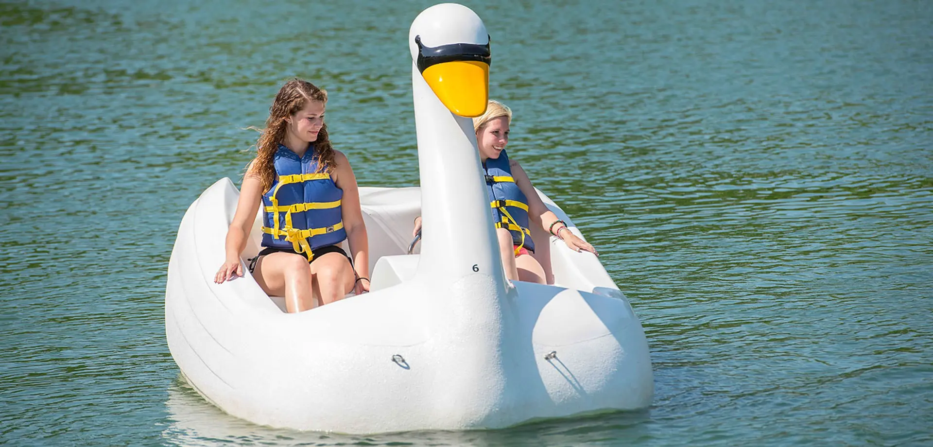 Swan Boats
