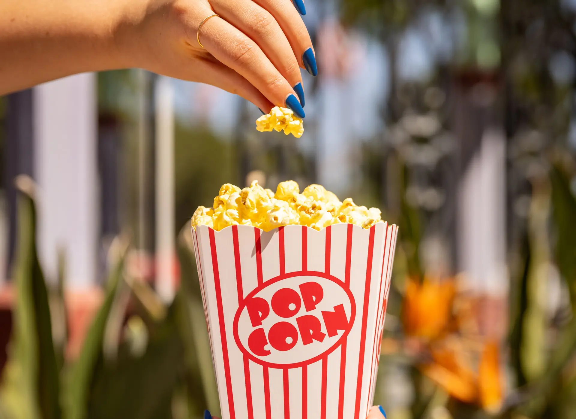 Popcorn