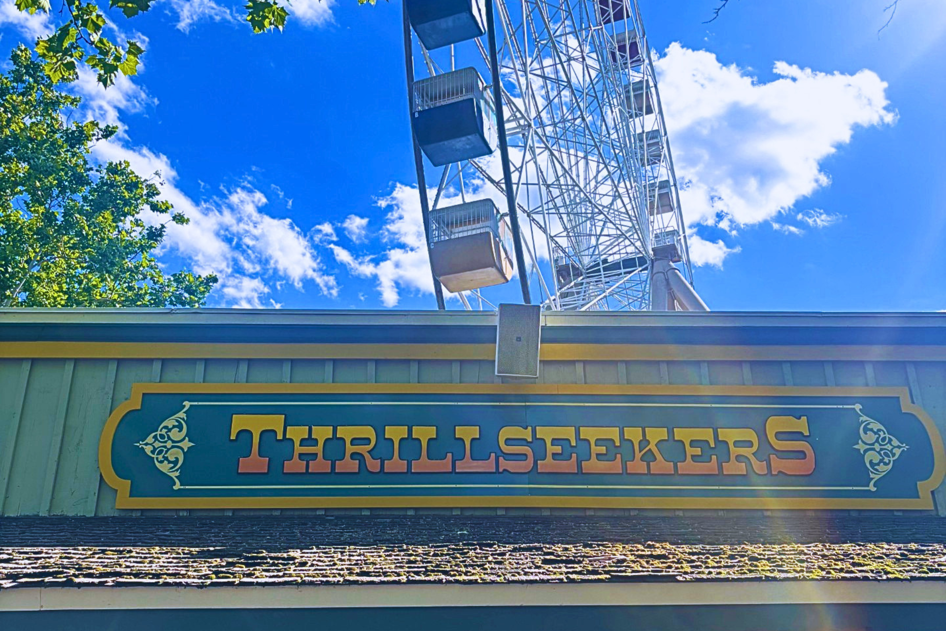 Thrillseekers