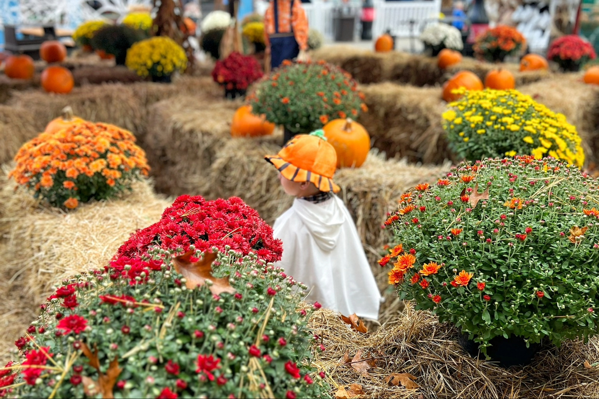 Boo Fest at Great Escape