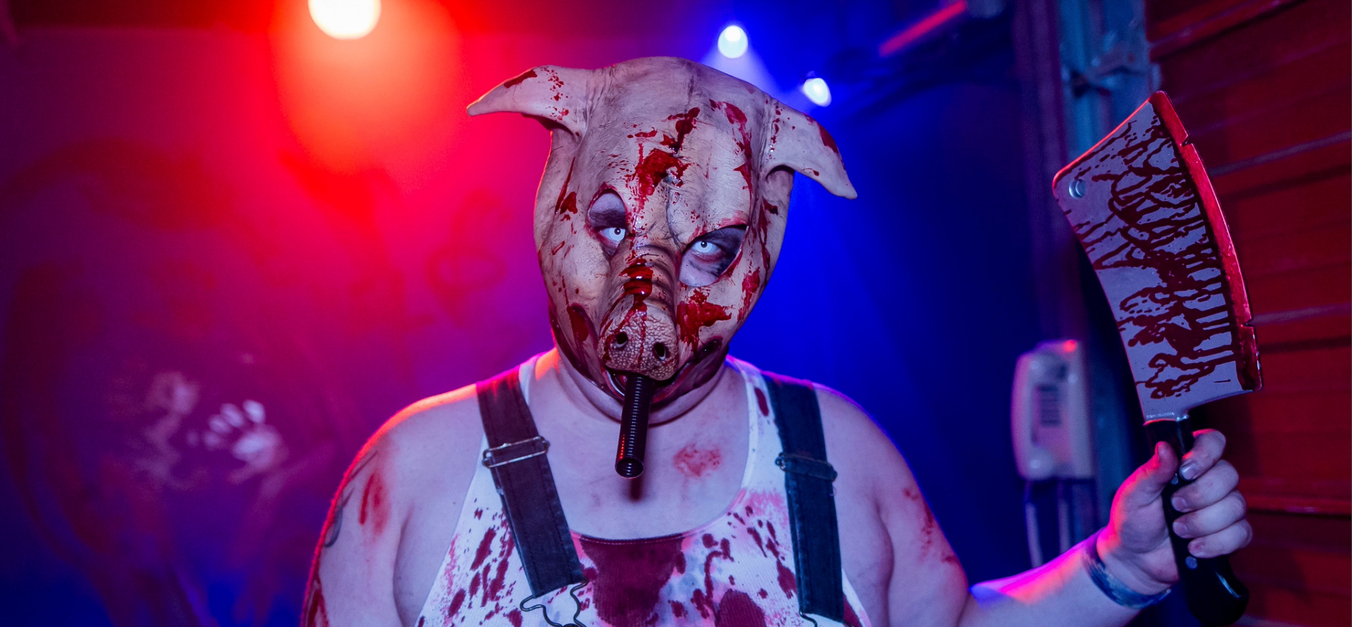 Pig Face